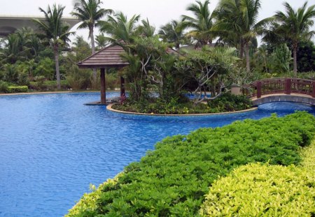 nice sea shore - trees, nature, pool, green