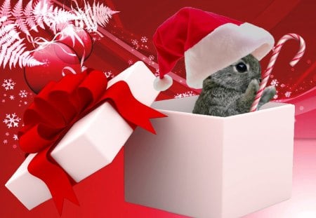 Christmas bunny - cute, adorable, candy, christmas, ribbon, box, rabbit, hat, bunny, colorful, new year, red, funny, sweet, holiday, gift, cane