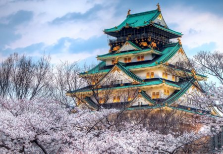 cherry blossom Temple - trees, blossoms, cherry, temple, beauty, sky