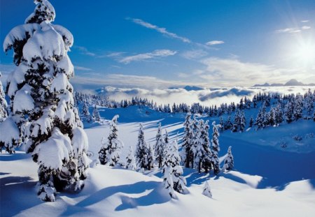 Winter mountain - winter, landscape, rays, blue, sky, sunny, clouds, slopes, trees, nature, mountain, snow