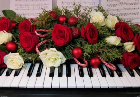 Christmas keyboard - red, holiday, rose, keyboard, christmas