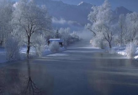 Frozen River - nature, trees, snow, river, winter