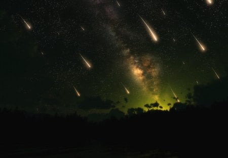 Perseid Meteor Shower - perseid, meteor, sky, shower