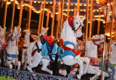 Carousel. - carousel, colourful, horses, fun photography