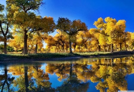 blue reflection - nature, lake, outdoors, trees