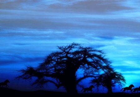 The Dawn Awakens - tree, nature, dawn, blue