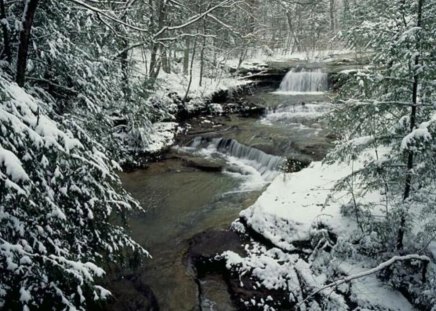 Small river in winter - small, river, winter, tree