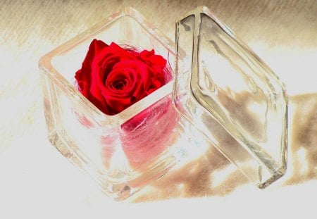 GIFT of LOVE - red, glass, box, rose, gift