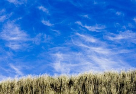 beautiful sky over grasses - sky, wind, clouds, grass