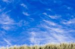 beautiful sky over grasses