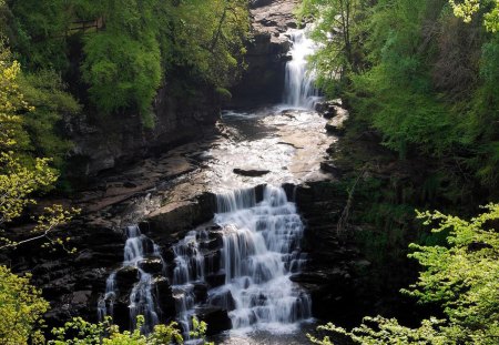 mountain stream with falls - stream, gorge, falls, forest