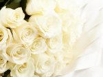 Bouquet of White Roses