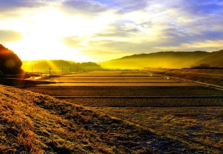 RAYS of DAWN - morning, tays, field, sun