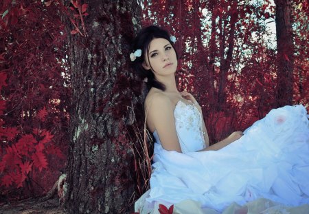 Beautiful Bride - bride, photography, girl, beauty, love, tree, nature, autumn, woman, brunette