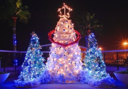 Christmas magic - trees, decoration, outdoor, christmas, lights