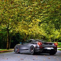 ferrari under the trees of autumn