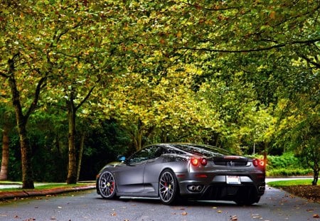 ferrari under the trees of autumn - trees, cars, under, autumn, ferrari