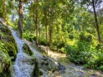 waterfall in the forest