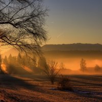 Misty Morning