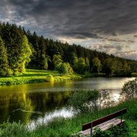 River in the green forest