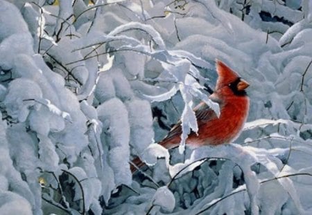 Hardy Bird - bird, trees, animal, winter, snow