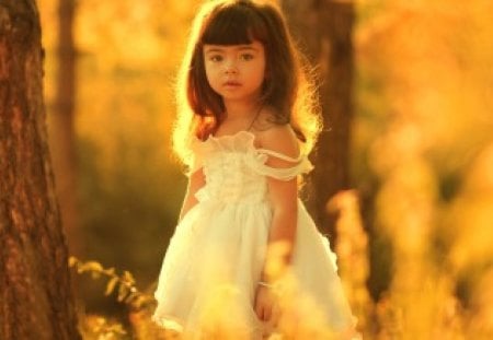 Little Princess - dress, girl, princess, swet