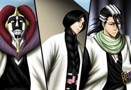 mayuri, unohana, byakuya - captain, anime, bleach