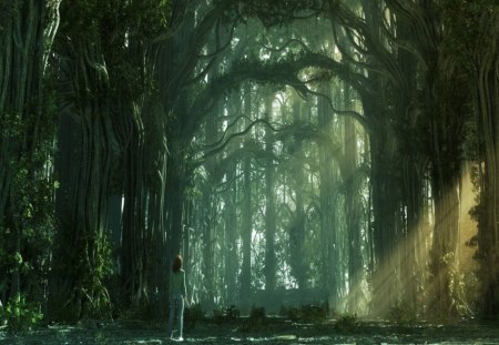 Cathedral of the Forest - green, fantasy, forest