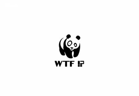 WTF !? - wtf, funny, panda, wwf, lol