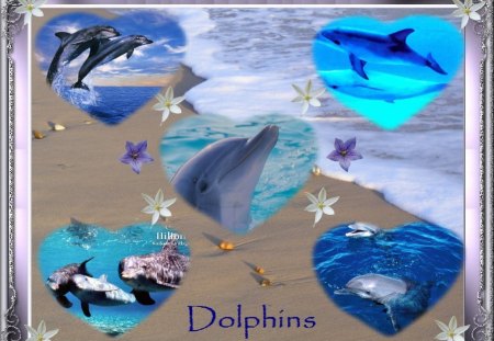 5 dolphins against water - dolphins, water, beach, collage, background, sand, wallpaper