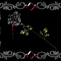 A Gothic Rose