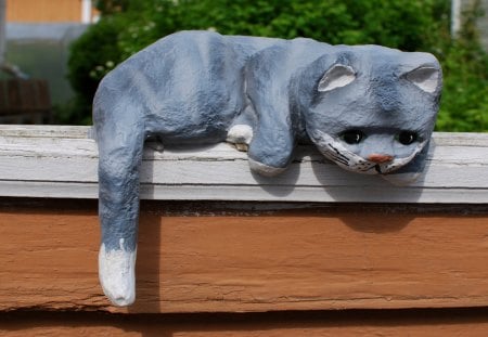 Funny Paper Cat - funny cat, paper cat, balcony, cat