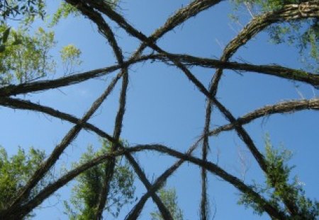 Architecture with trees and plants at fusion festival 09 - festival, beautifull, sky, arch, plant, house, tree, blue