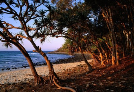 Beach - beach, australia