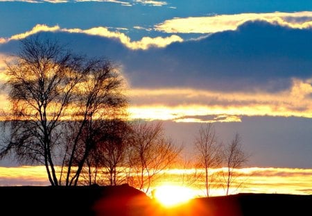 beautiful sunset - trees, silhouettes, sunset, clouds