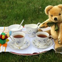 TEA WITH TEDDY