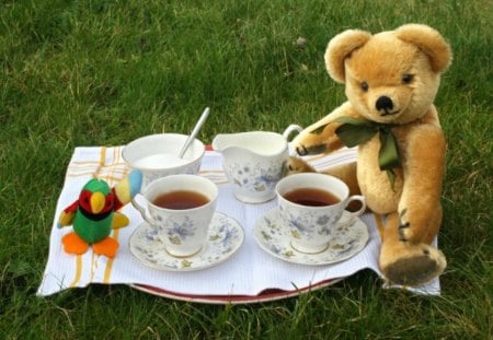 TEA WITH TEDDY - bears, toys, cups, teatime, tea, picnics, tea tray, teddies, grass