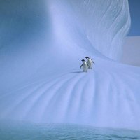 THE GREAT BLUE YONDER
