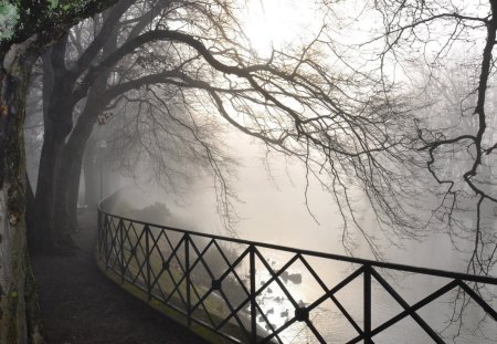 mysterious river walk - river, trees, fog, rail, walk