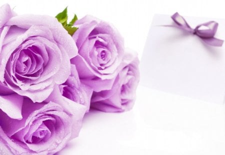 ROSE OF MY HEART - bows, roses, bouquets, ribbons, notelets, purple, friendship, letters, gifts, lavender