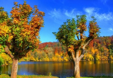 Lake in autumn - Lakes & Nature Background Wallpapers on Desktop Nexus ...