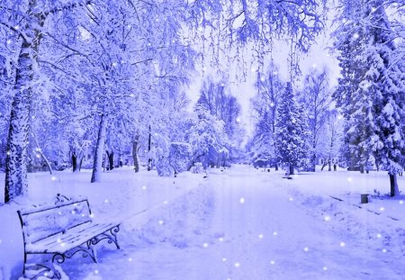 Winter Bench - winter bench, winter scene, winter day, winter in the park, snowy day