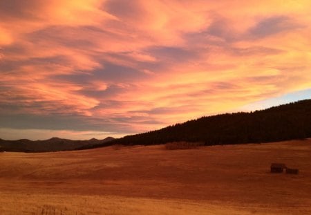 my backyard - clouds, field, outdoors, nature