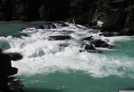 Rapid River - forest, rock, water, flowing, daylight, white, land, river, trees, nature, rapid, day