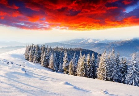 Beautiful Winter - hills, magic, snowflakes, splendor, landscape, snow, sunrise, winter splendor, view, sky, clouds, hill, magic winter, trees, winter, beautiful, snowy, beauty, lovely, tree, nature, sunset, winter time, winter sunset, mountains, peaceful