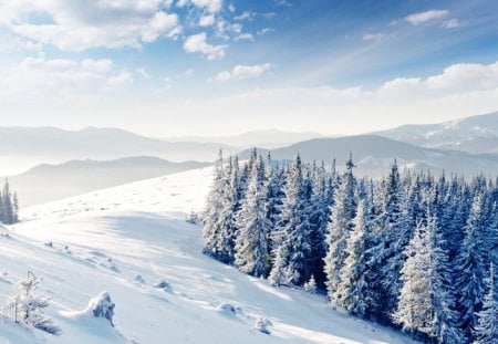 Winter - beauty, sky, trees, magic, peaceful, mountains, view, winter time, clouds, tree, snowy, hill, hills, landscape, winter, snowflakes, lovely, nature, magic winter, snow, beautiful, splendor, winter splendor