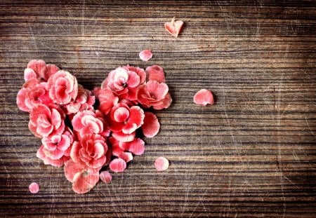 Petals - beauty, heart, photography, still life, with love, wood, pretty, petals, valentines day, romance, pin flowers, love, pink petals, wooden, for you, lovely, nature, romantic, beautiful, pink, sweet, flowers