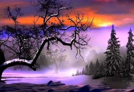 WINTER LAND - sky, trees, snow, winter, sunset