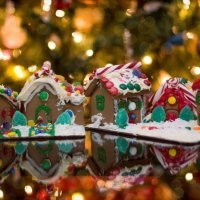 christmas ginger bread-house