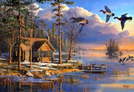 Spring nature - flying, lake, ducks, forest, house